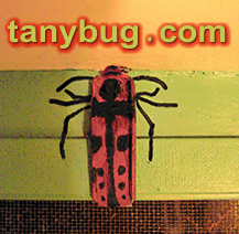 CLICK To Visit TanyBug.Com